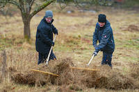 250212Landschaftspflege7